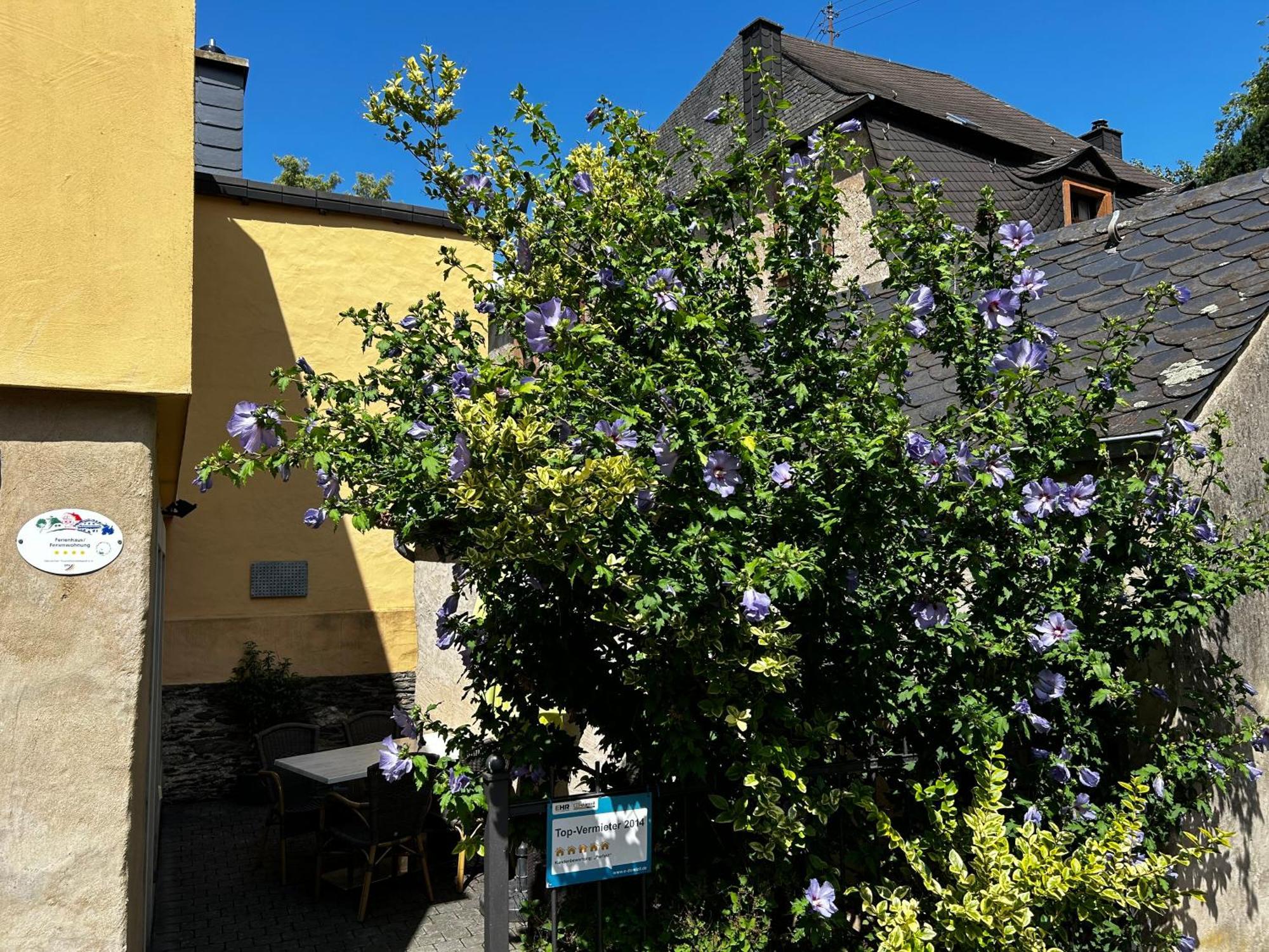 Ferienhaus Ausonius Neumagen-Dhron Buitenkant foto